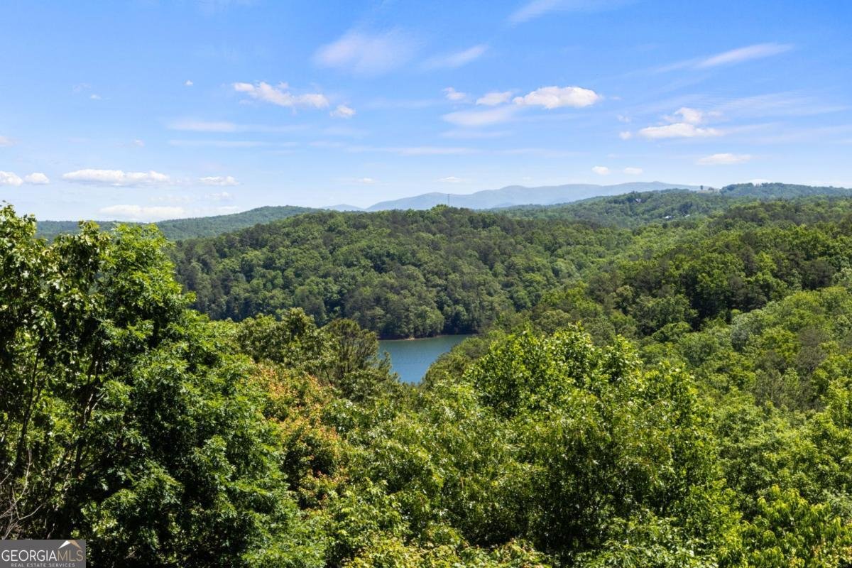 122 Zane Drive Ellijay - Photo 58