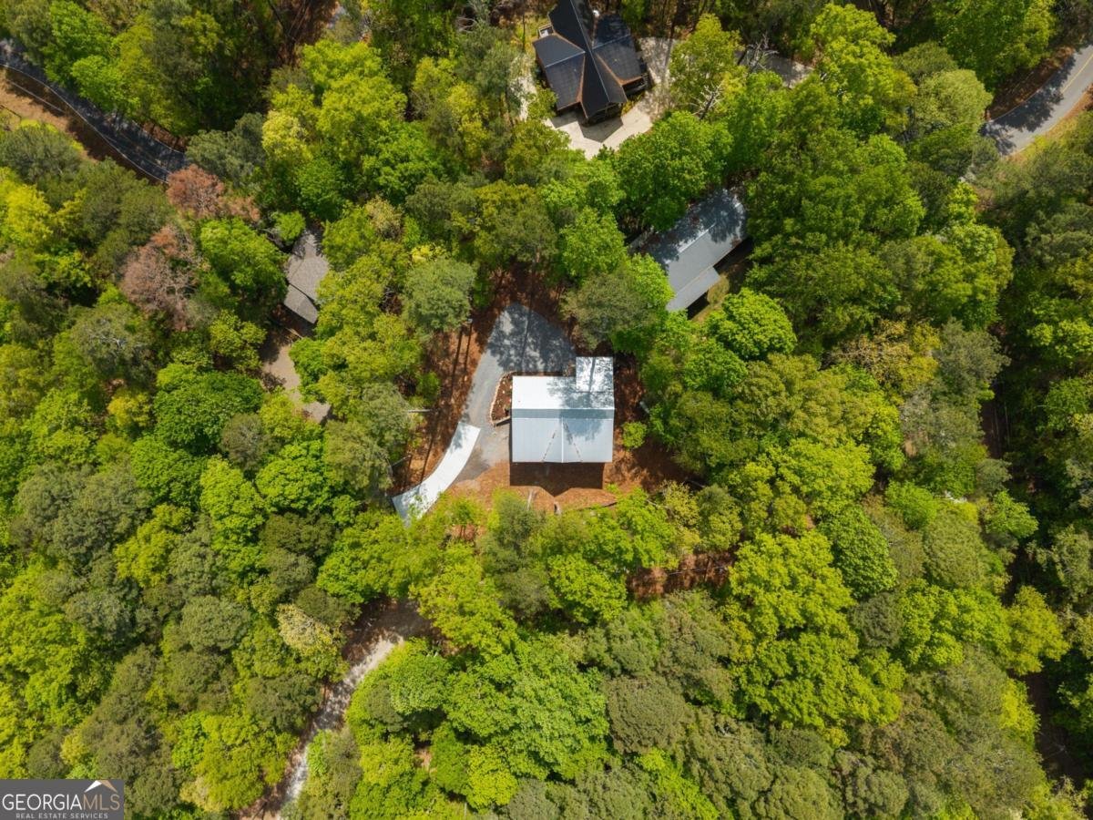 52 Otto Court Ellijay - Photo 56