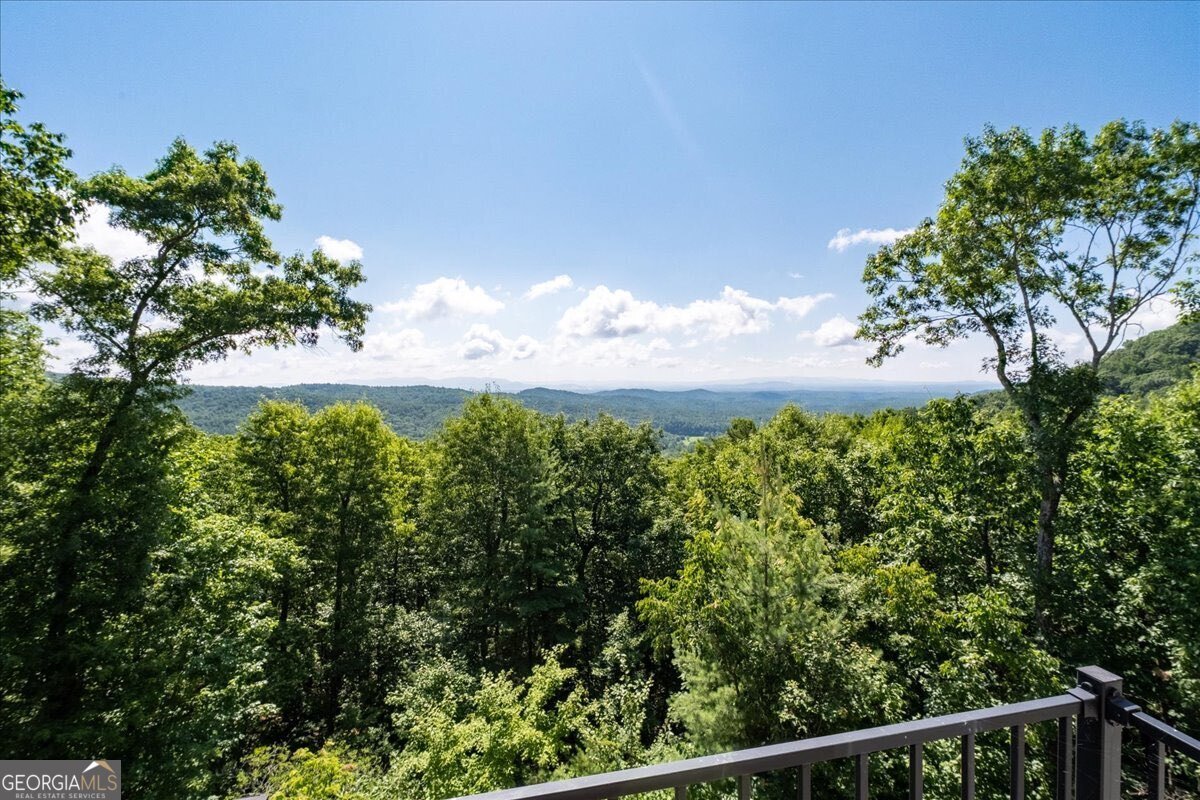 207 Utana Bluffs Trail Ellijay - Photo 61
