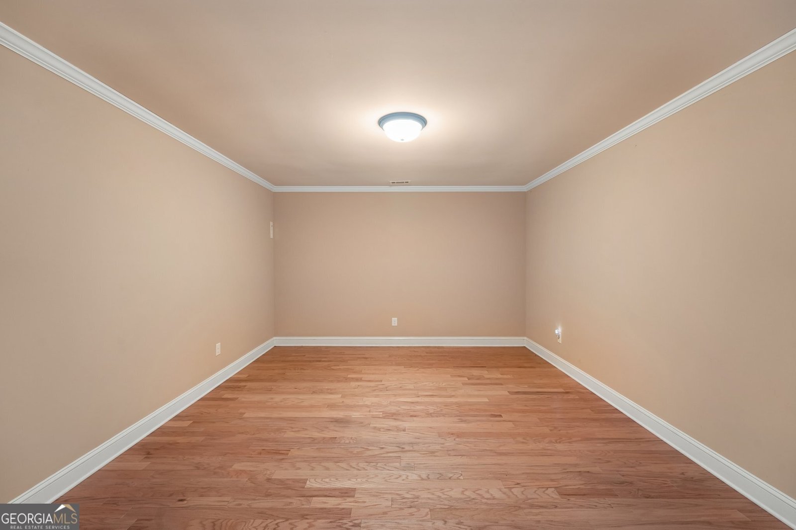 501 Smithson Crossing McDonough - Photo 32