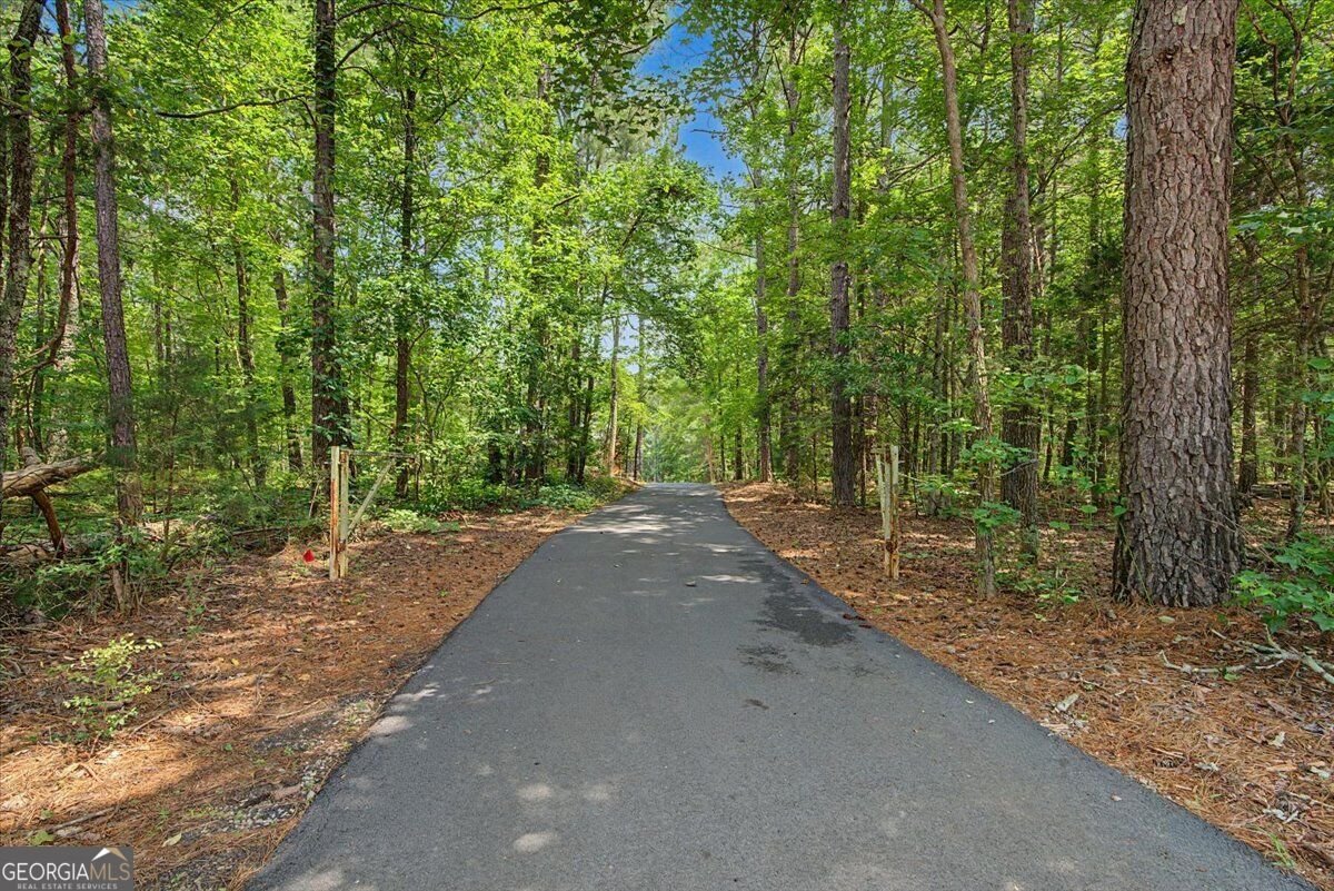 335 Dunn Road Silver Creek - Photo 55