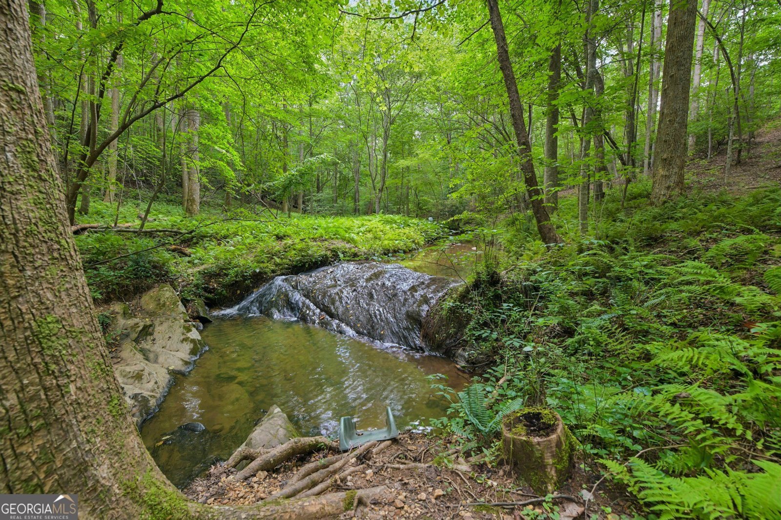 418 Wild Turkey Trail Dahlonega - Photo 53