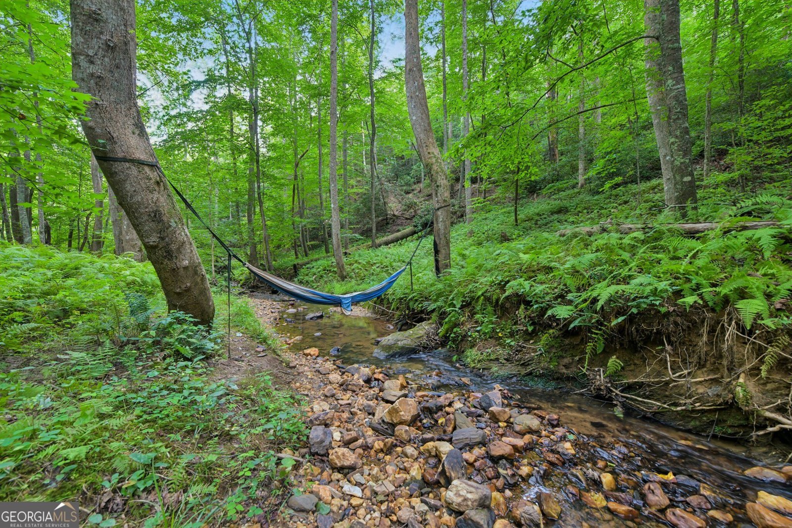 418 Wild Turkey Trail Dahlonega - Photo 54