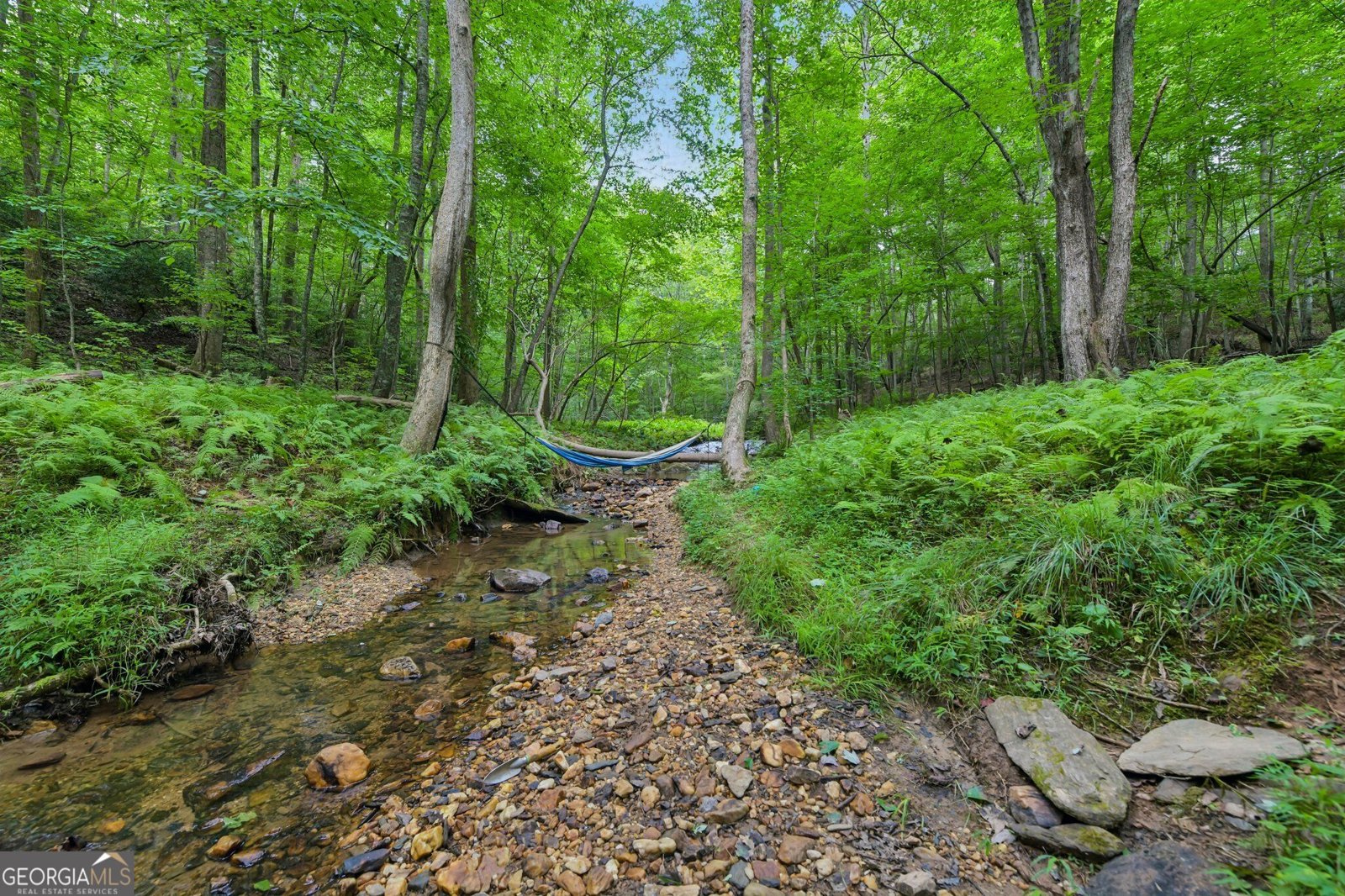 418 Wild Turkey Trail Dahlonega - Photo 55