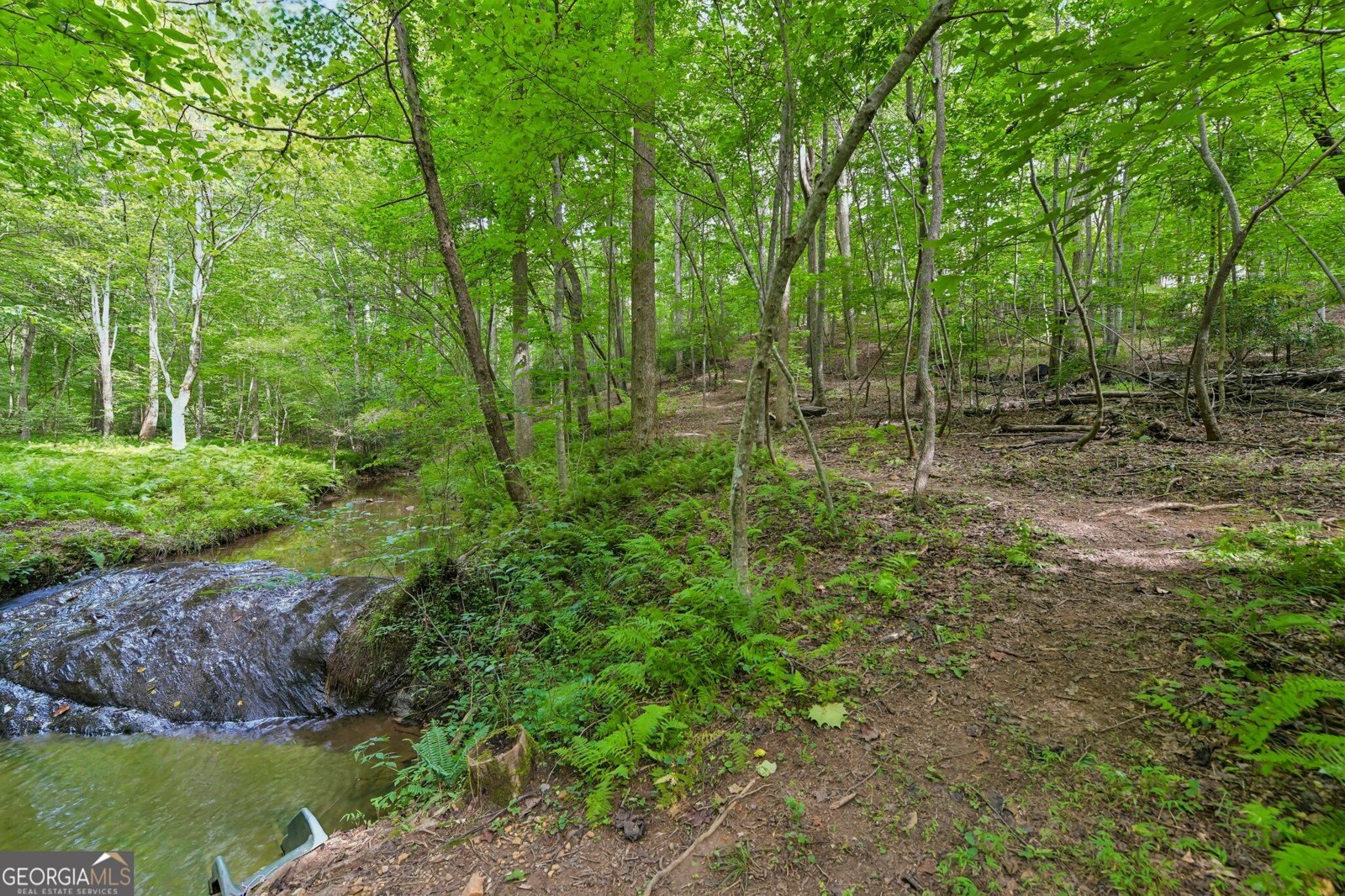 418 Wild Turkey Trail Dahlonega - Photo 56