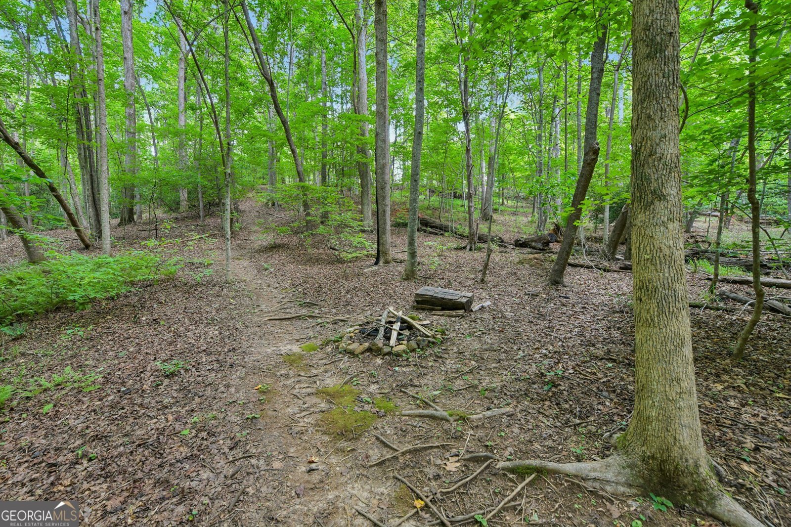 418 Wild Turkey Trail Dahlonega - Photo 57