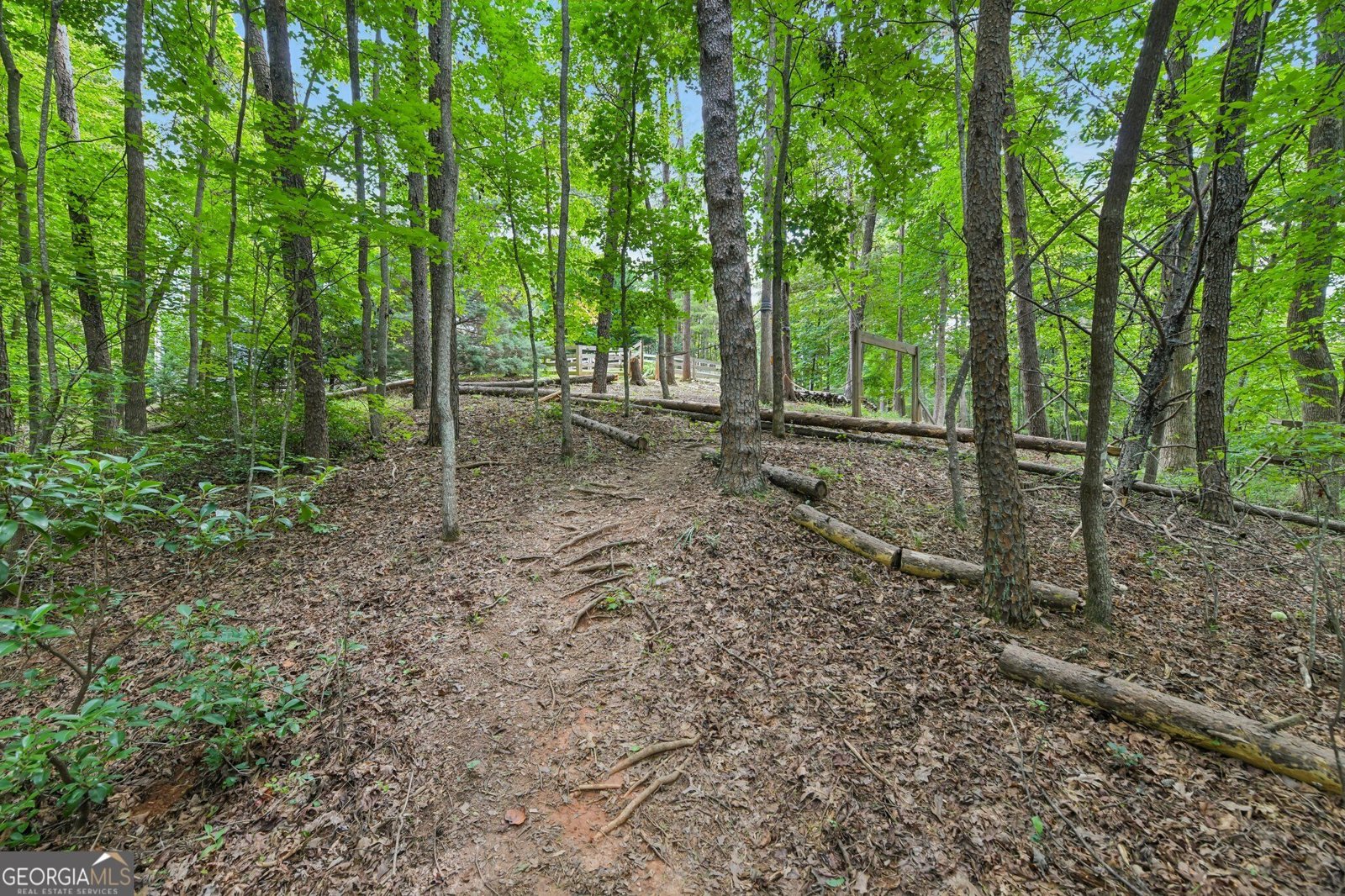418 Wild Turkey Trail Dahlonega - Photo 58