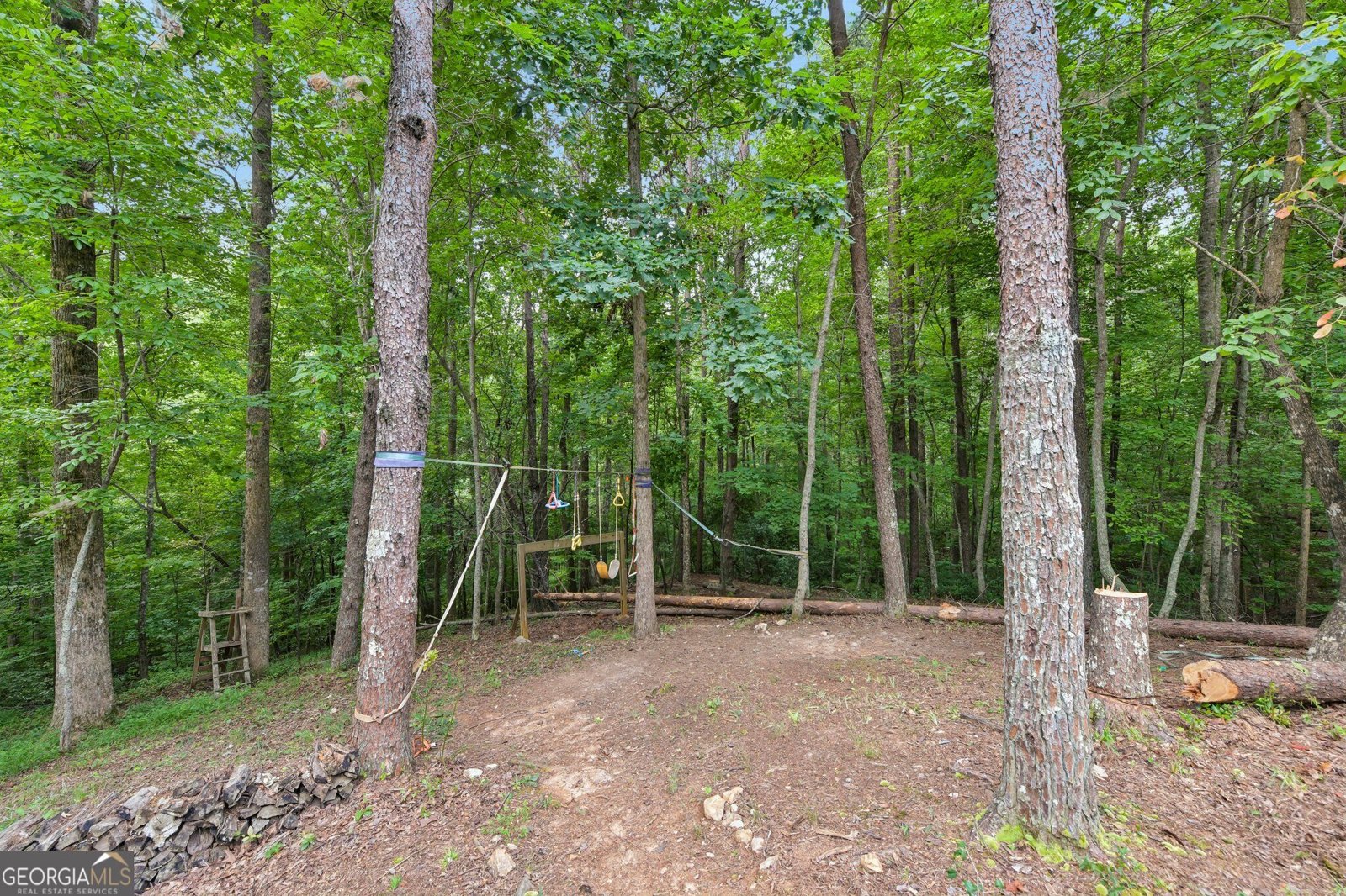 418 Wild Turkey Trail Dahlonega - Photo 59