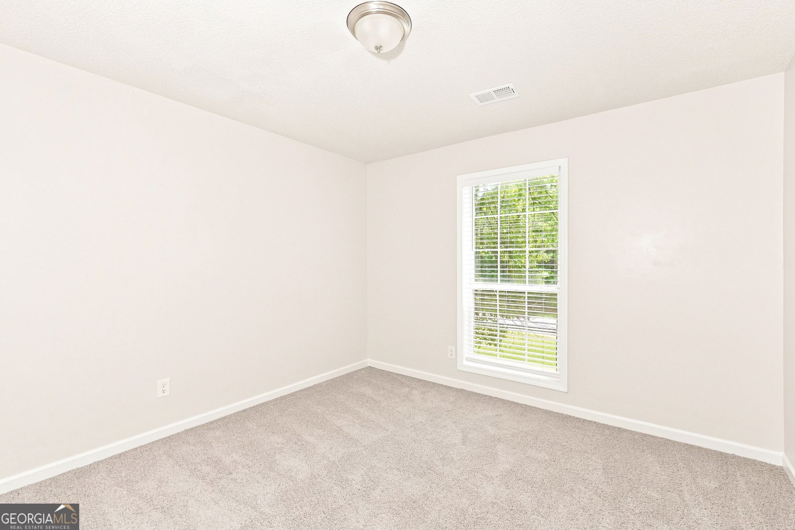 2950 Williams Farm Drive Dacula - Photo 13