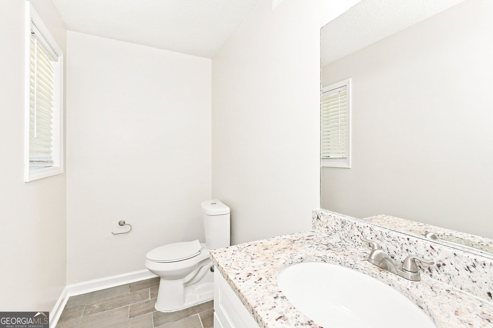 2950 Williams Farm Drive Dacula - Photo 14