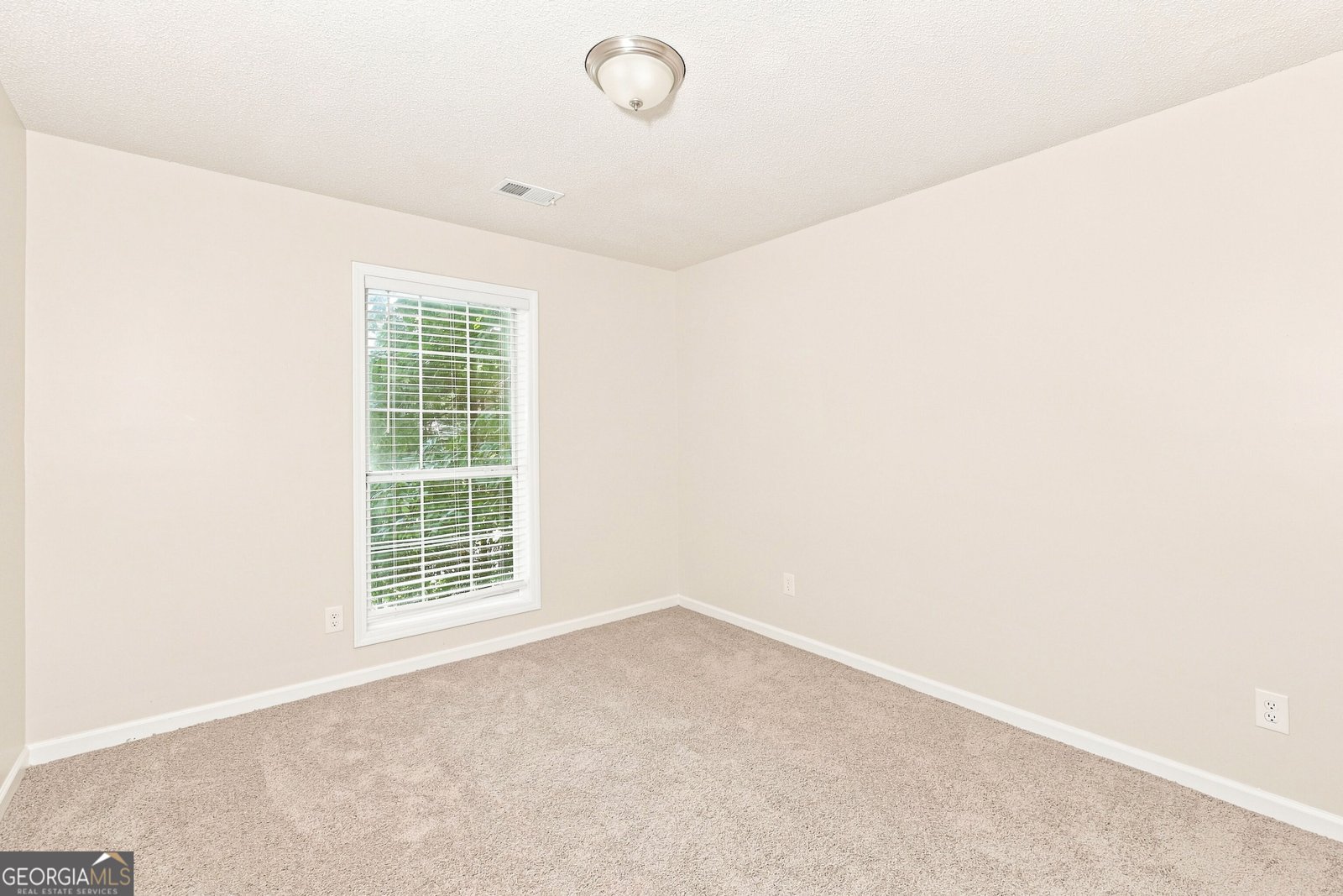 2950 Williams Farm Drive Dacula - Photo 16