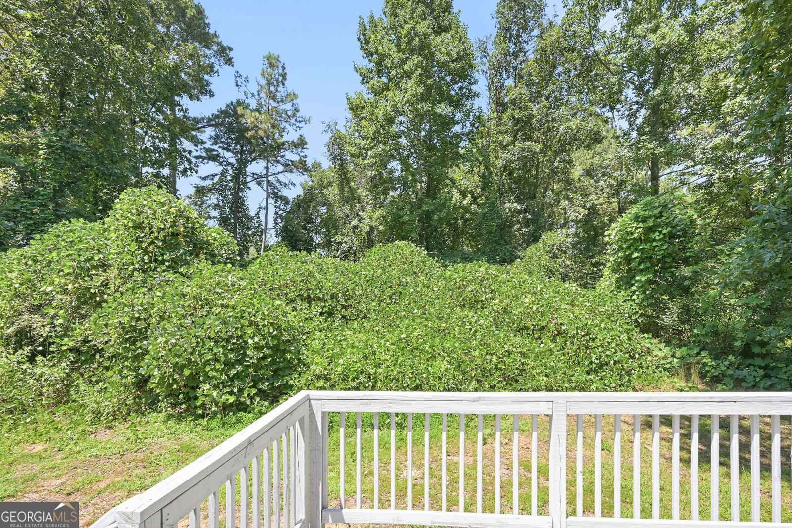 2950 Williams Farm Drive Dacula - Photo 19