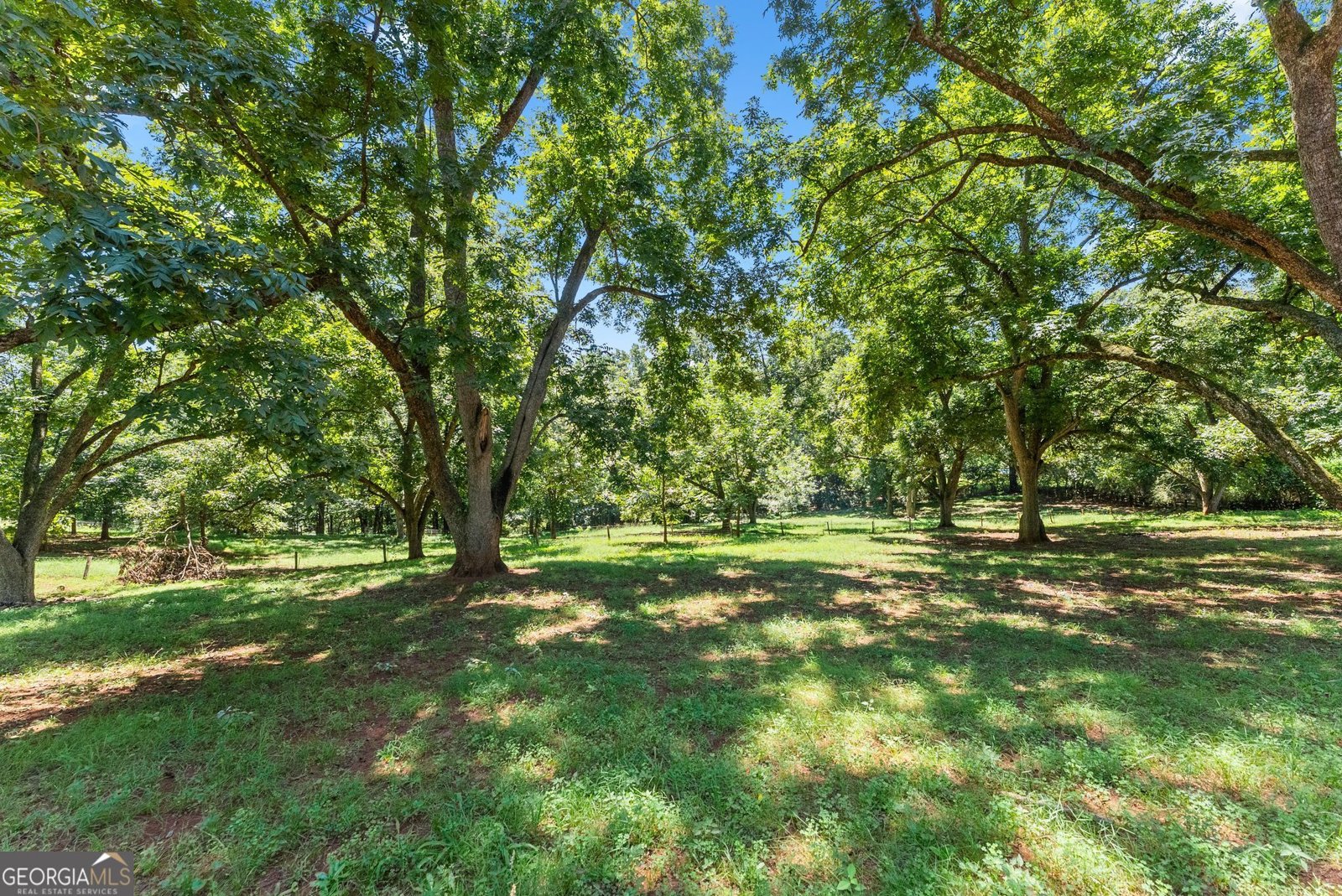 8080 Milford Road Gainesville - Photo 86