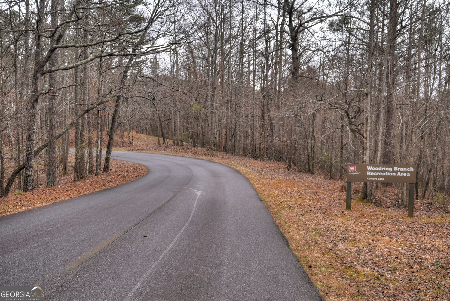 144 Emerald Cove Drive Ellijay - Photo 57