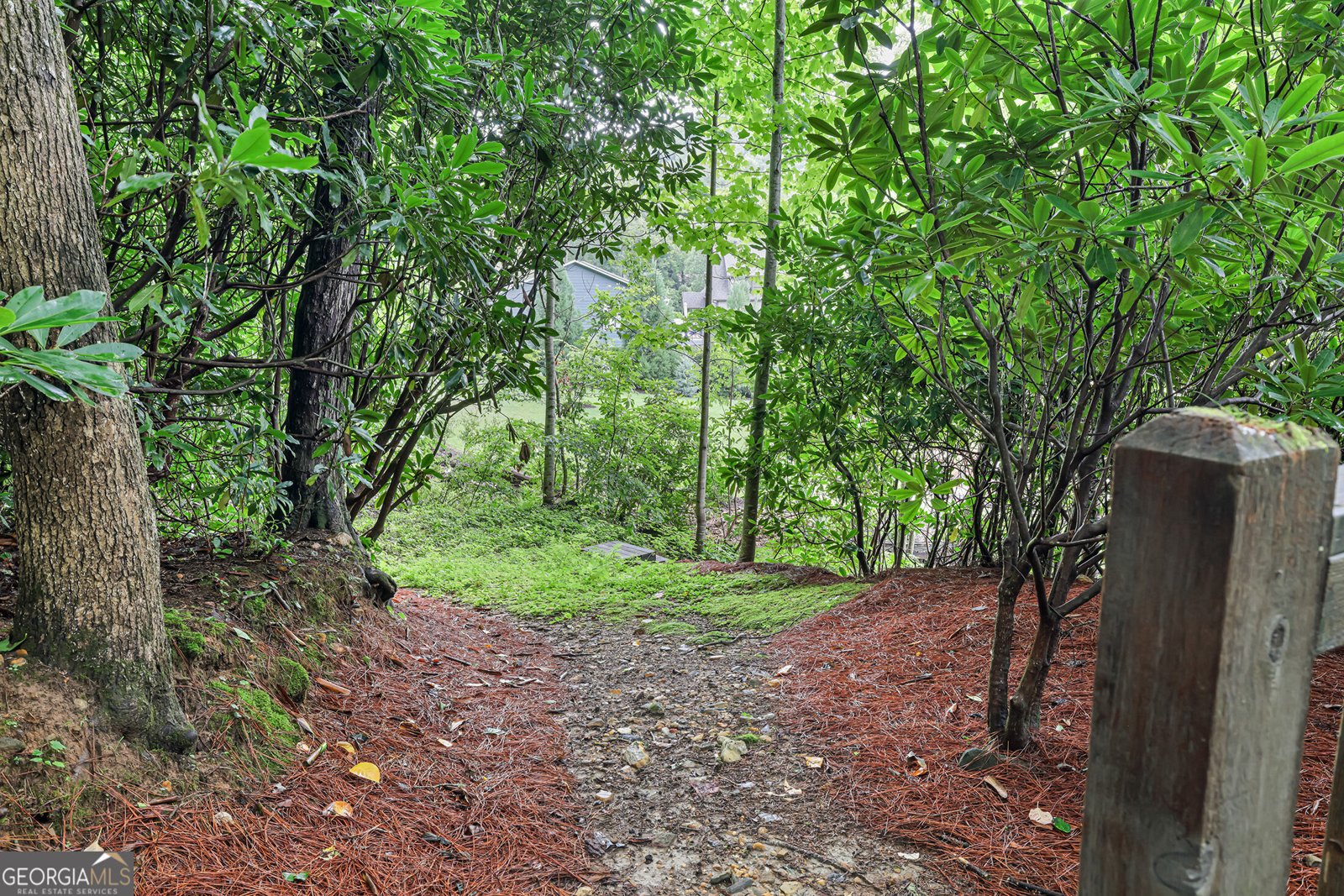 83 Hilltop Circle Clarkesville - Photo 49