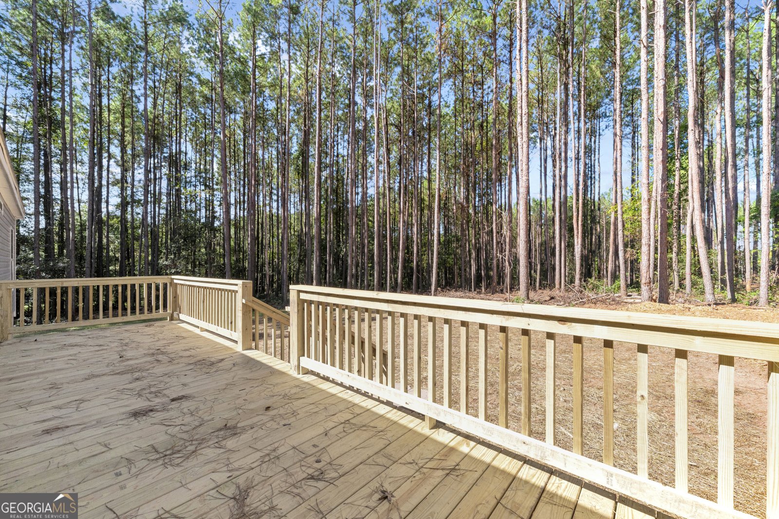 848 Swilling Road Martin - Photo 31