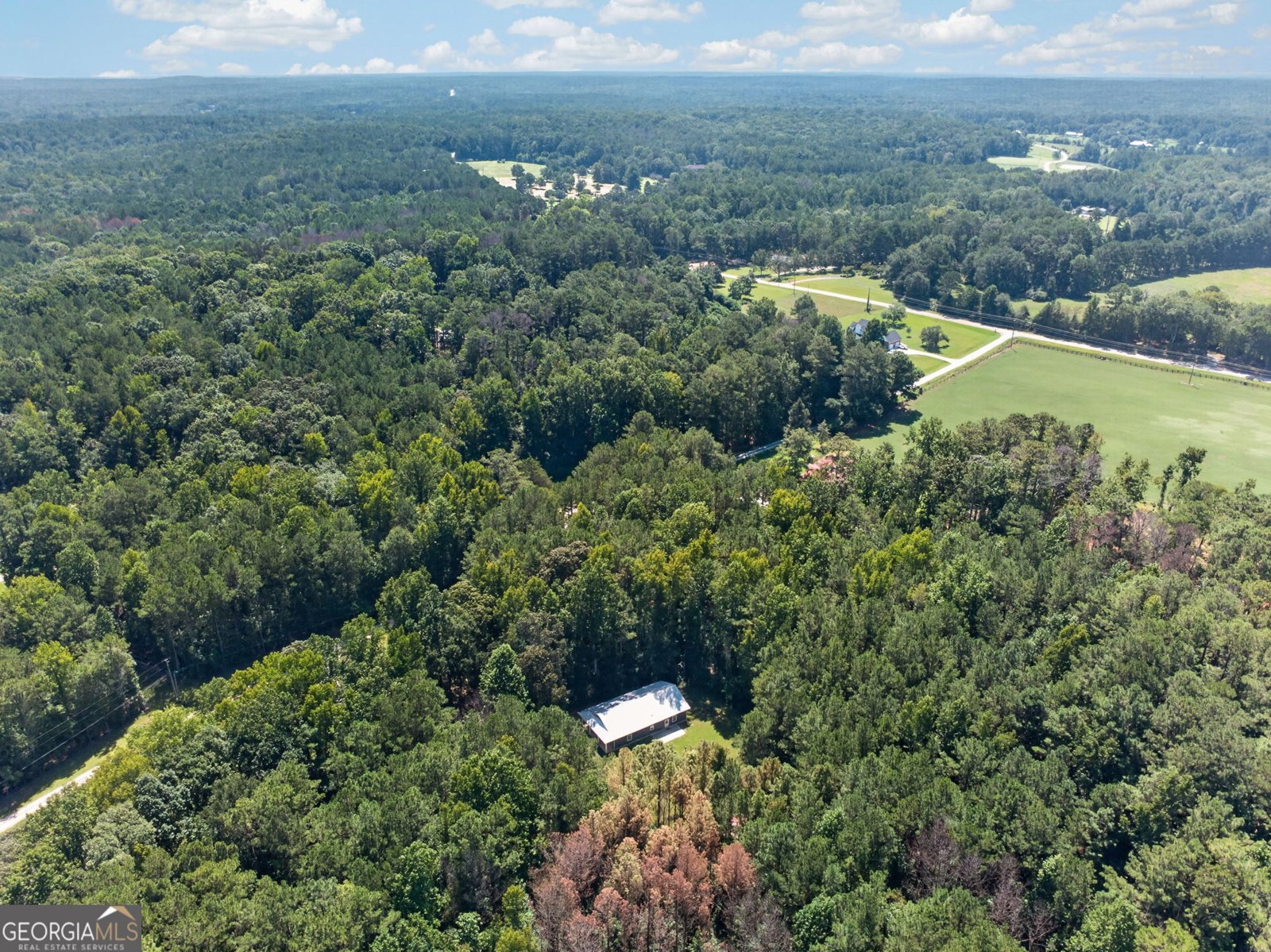 90 Edwin Smith Road Newnan - Photo 44