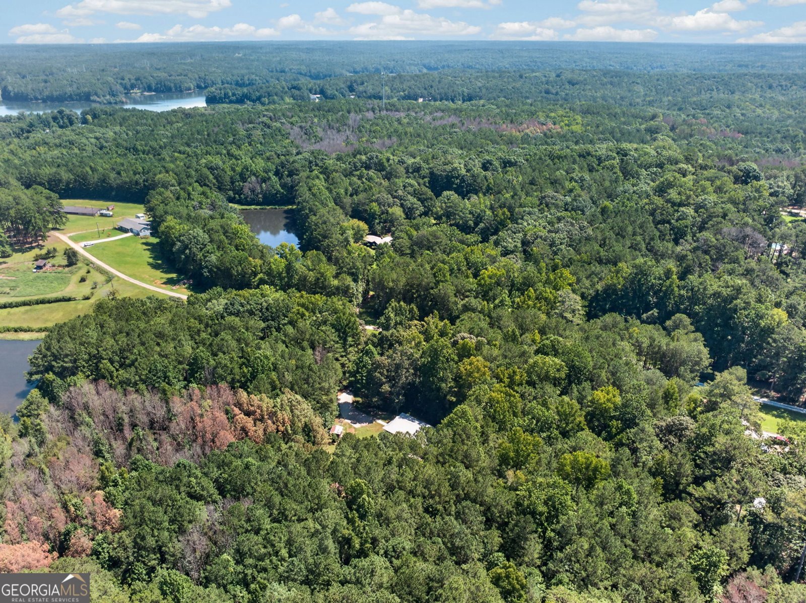 90 Edwin Smith Road Newnan - Photo 45