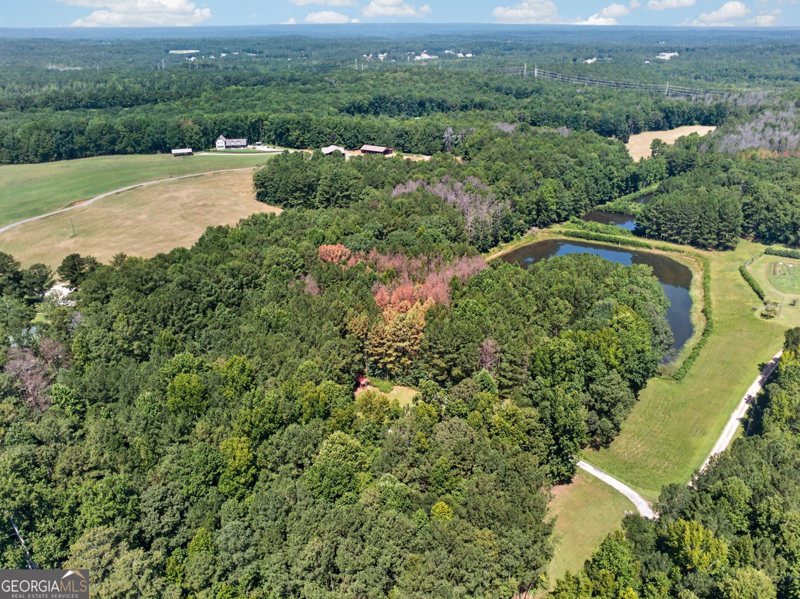 90 Edwin Smith Road Newnan - Photo 46