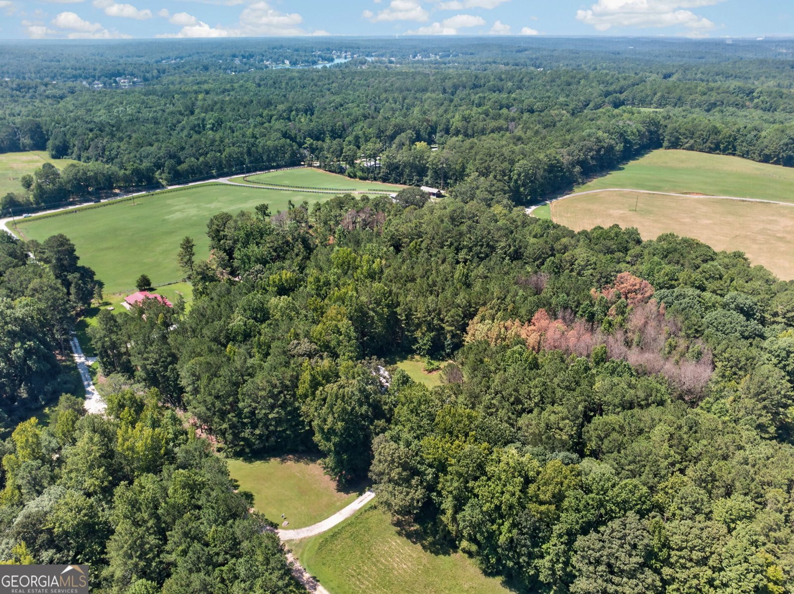 90 Edwin Smith Road Newnan - Photo 47