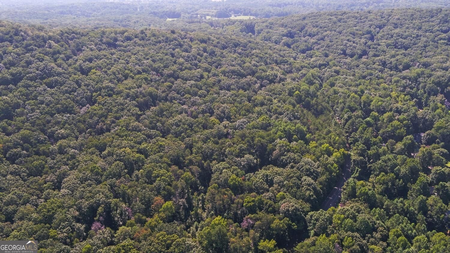 2590 Bettis Tribble Gap Road Cumming - Photo 57