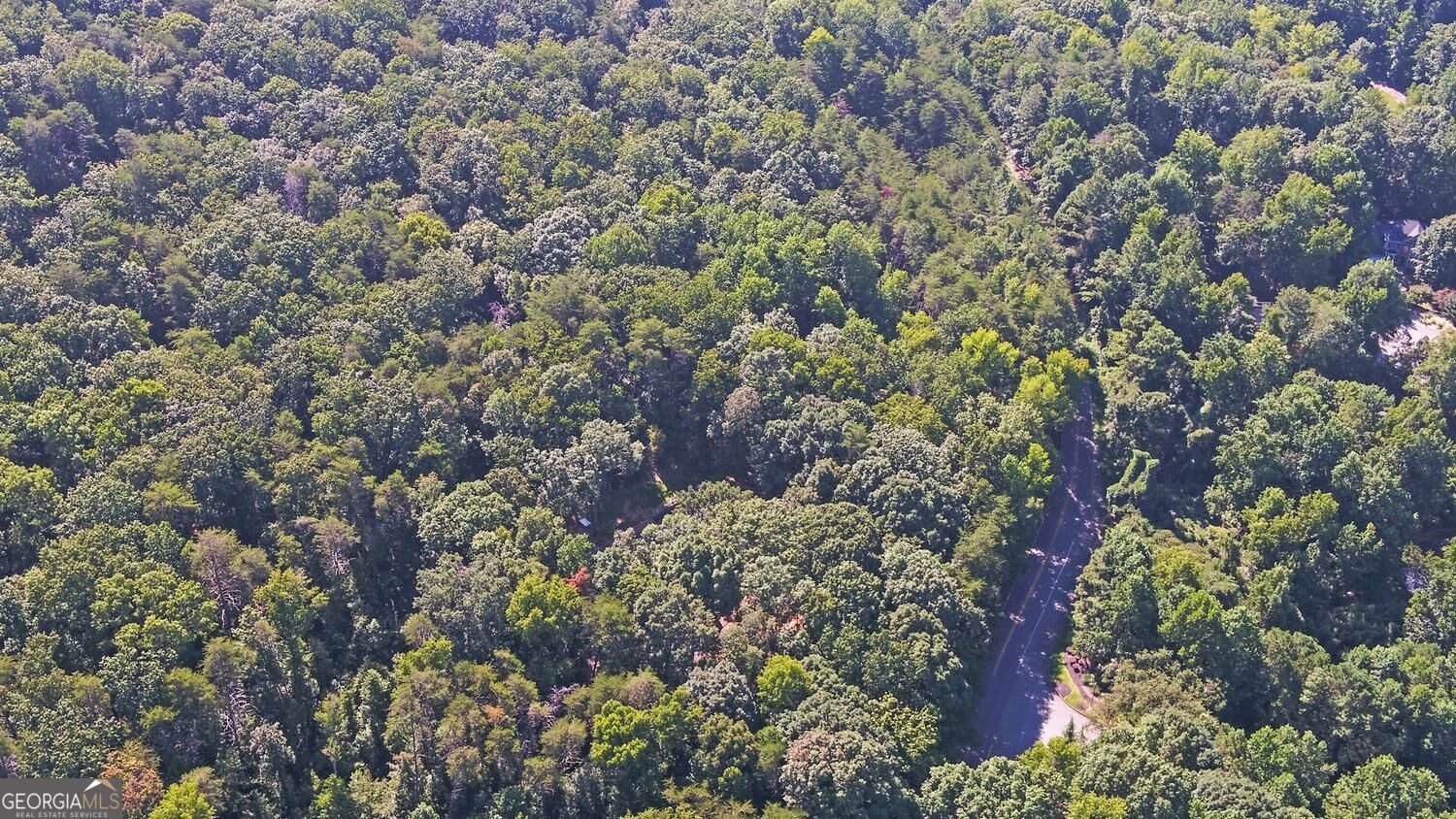 2590 Bettis Tribble Gap Road Cumming - Photo 58