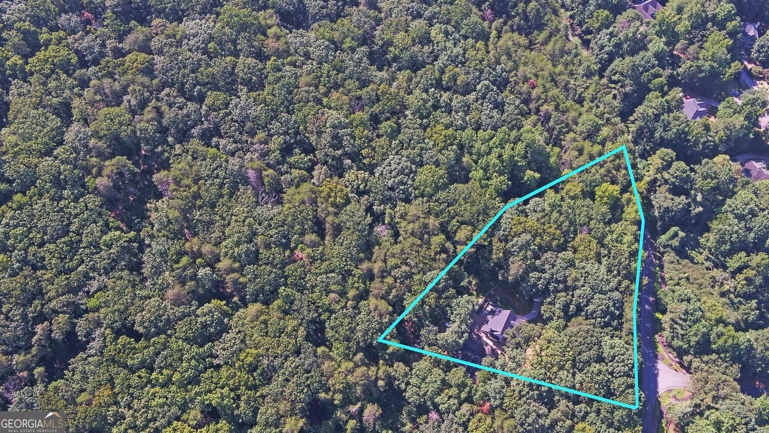 2590 Bettis Tribble Gap Road Cumming - Photo 59