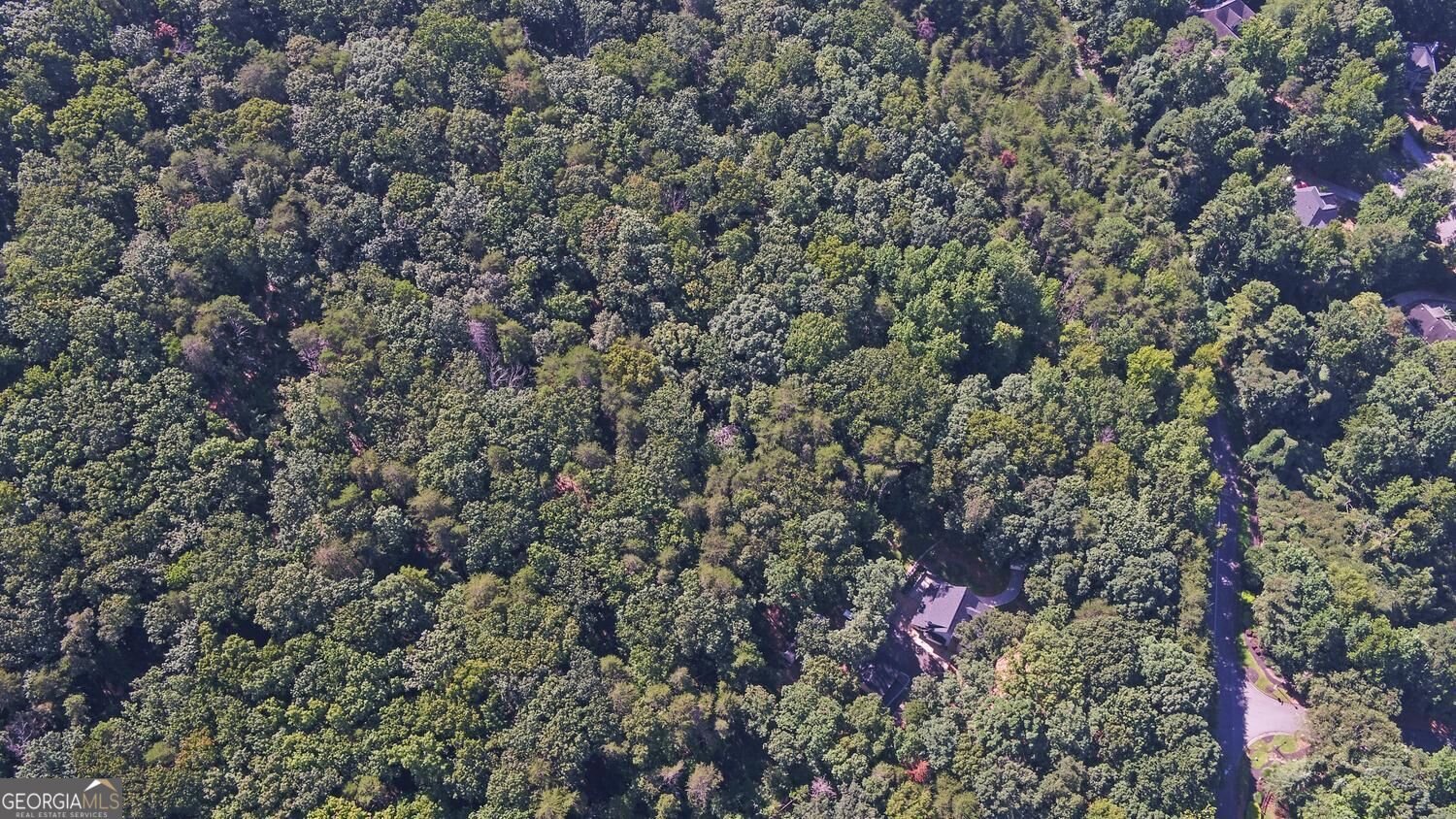 2590 Bettis Tribble Gap Road Cumming - Photo 60