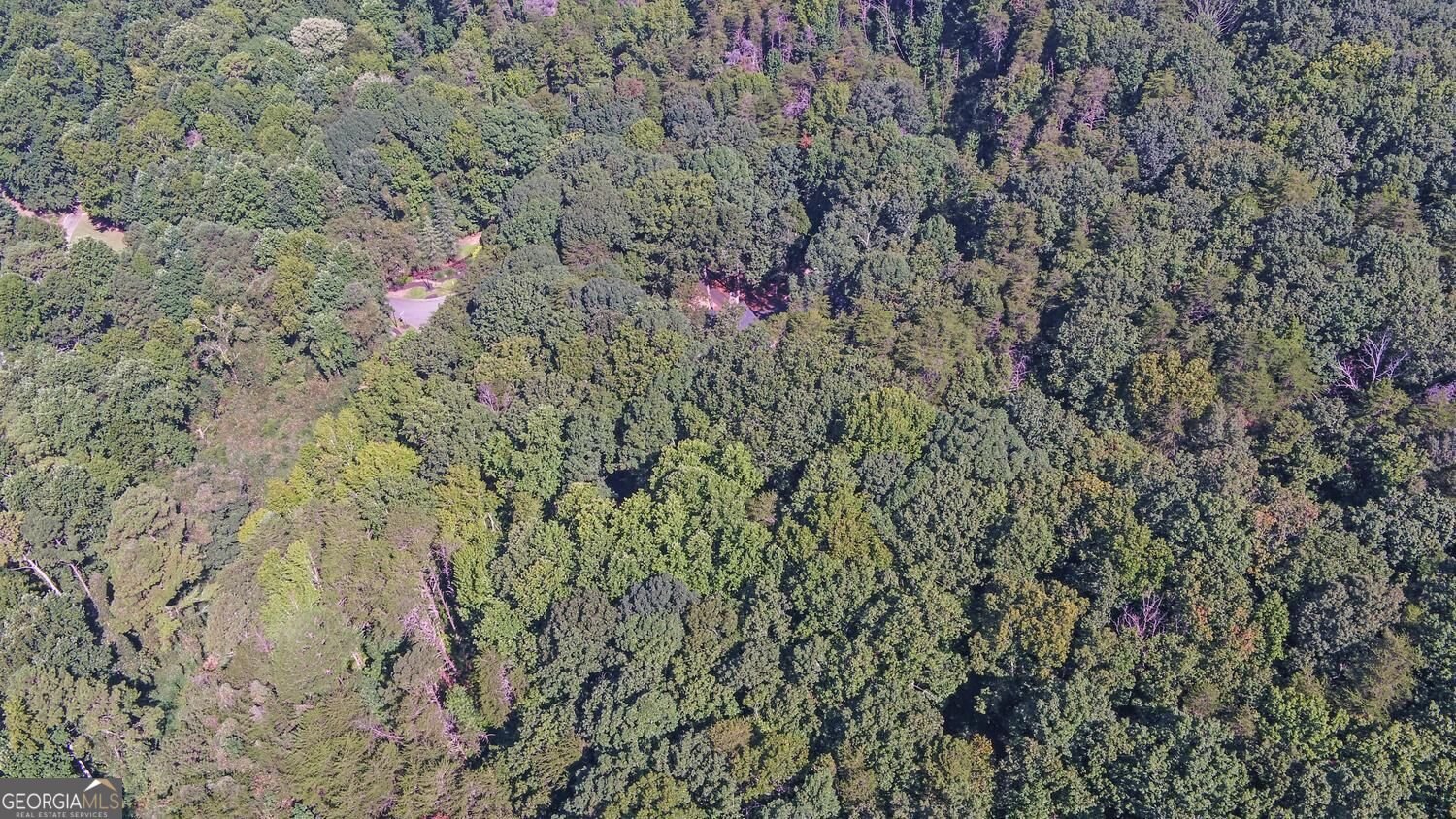 2590 Bettis Tribble Gap Road Cumming - Photo 61