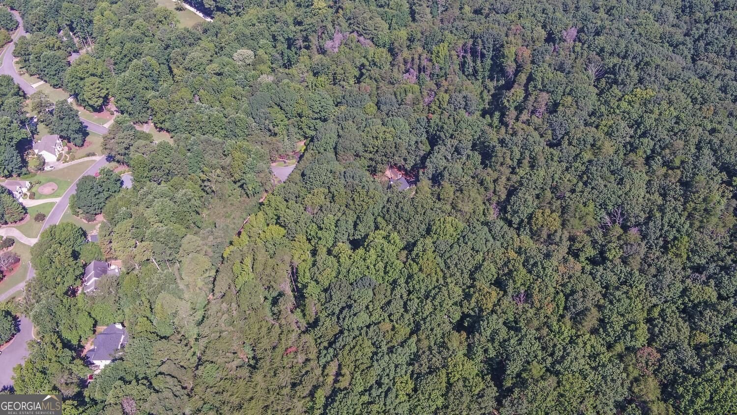2590 Bettis Tribble Gap Road Cumming - Photo 66