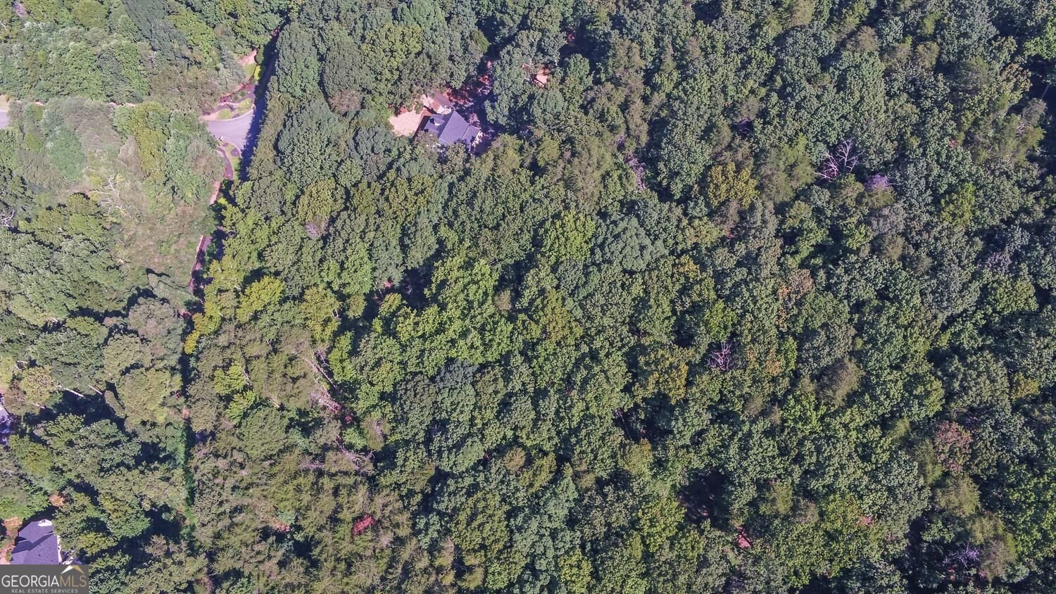 2590 Bettis Tribble Gap Road Cumming - Photo 68