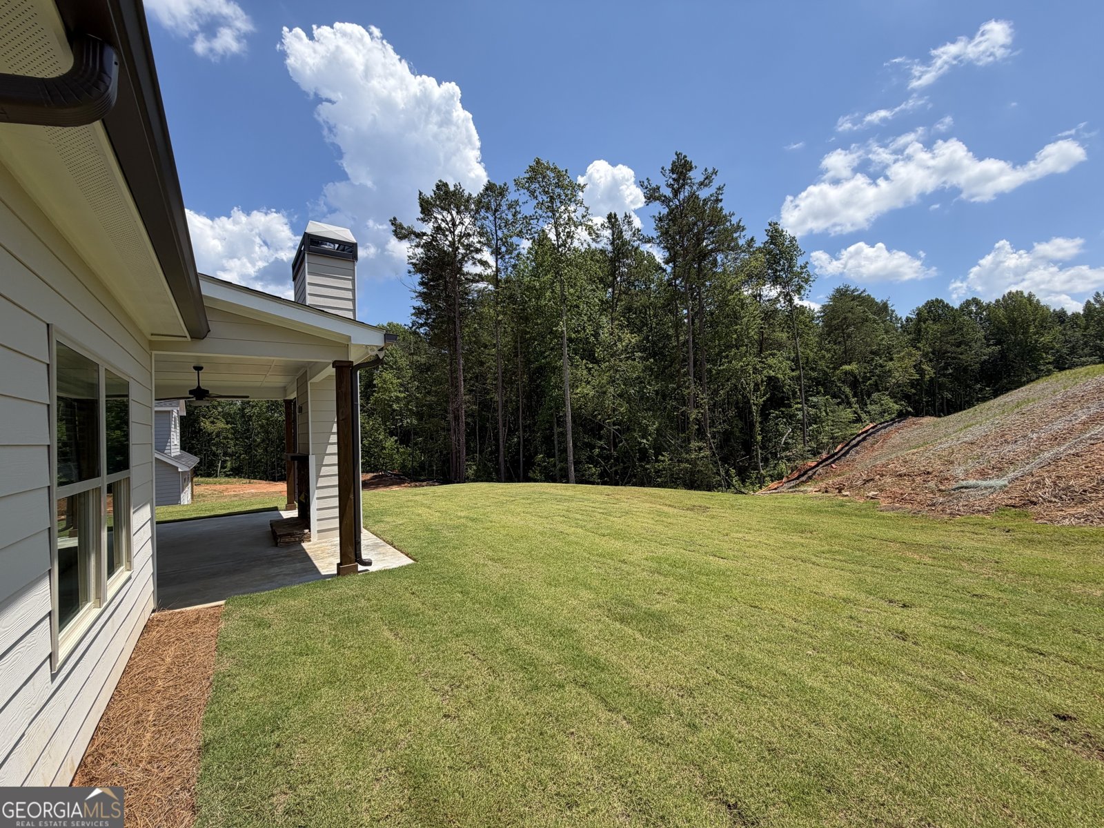 6467 Plantation Station Drive Lula - Photo 43