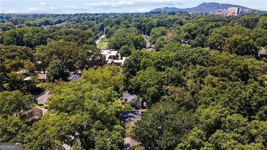 473 Hyde Drive Marietta - Photo 40