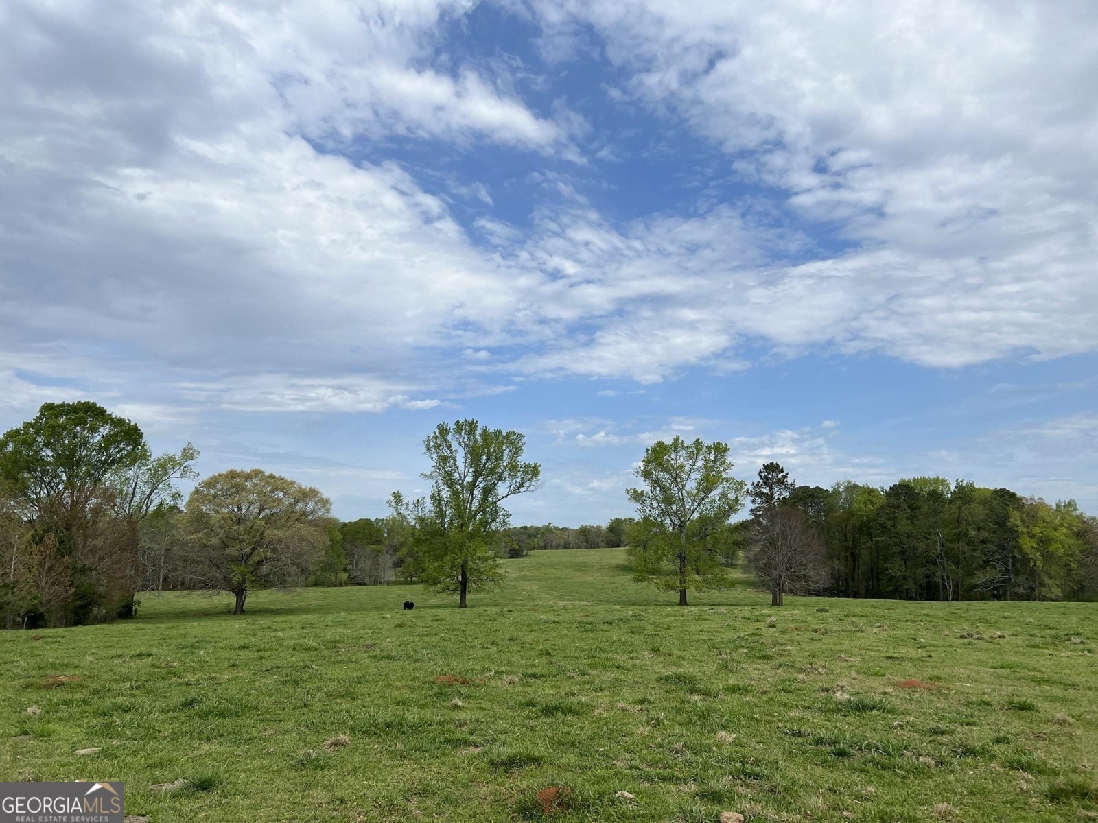 330 Park Road Eatonton - Photo 46