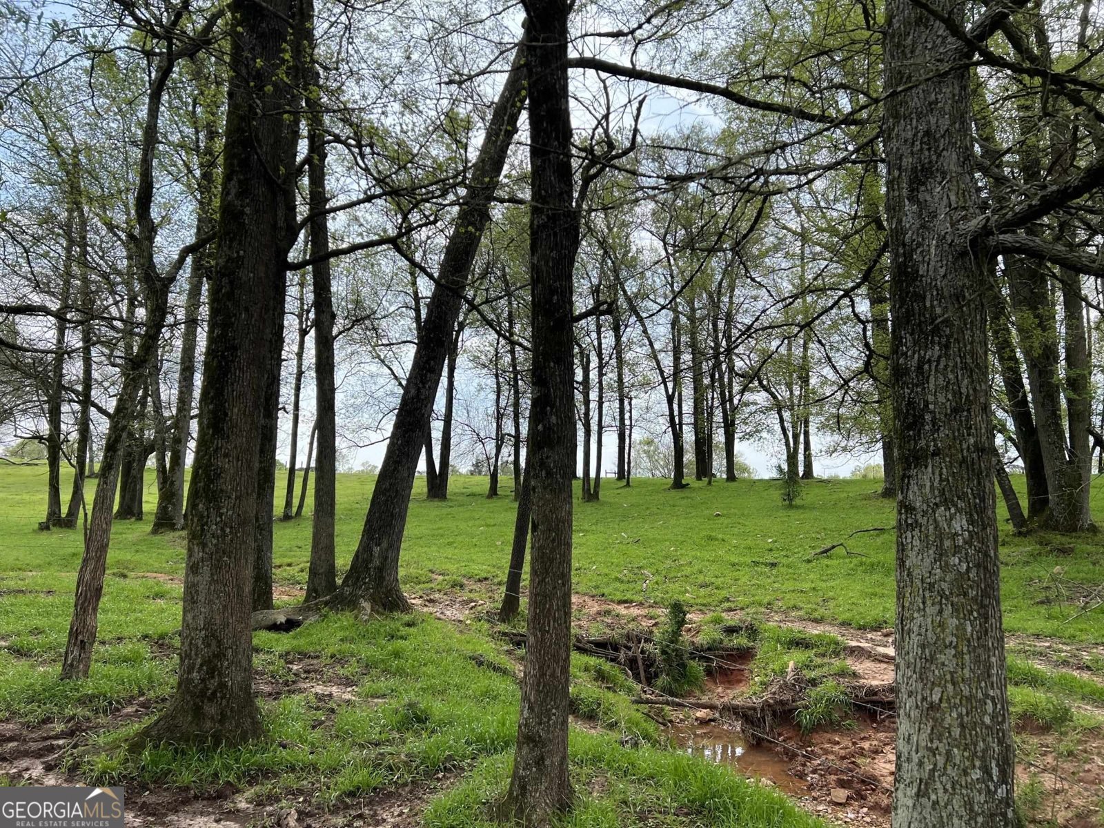 330 Park Road Eatonton - Photo 47