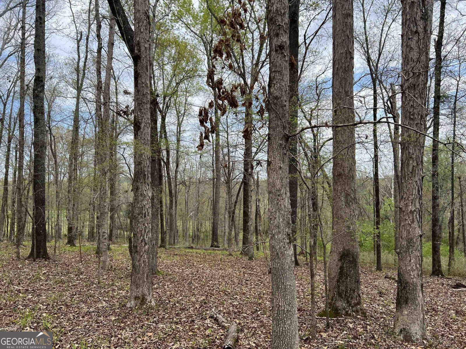 330 Park Road Eatonton - Photo 48