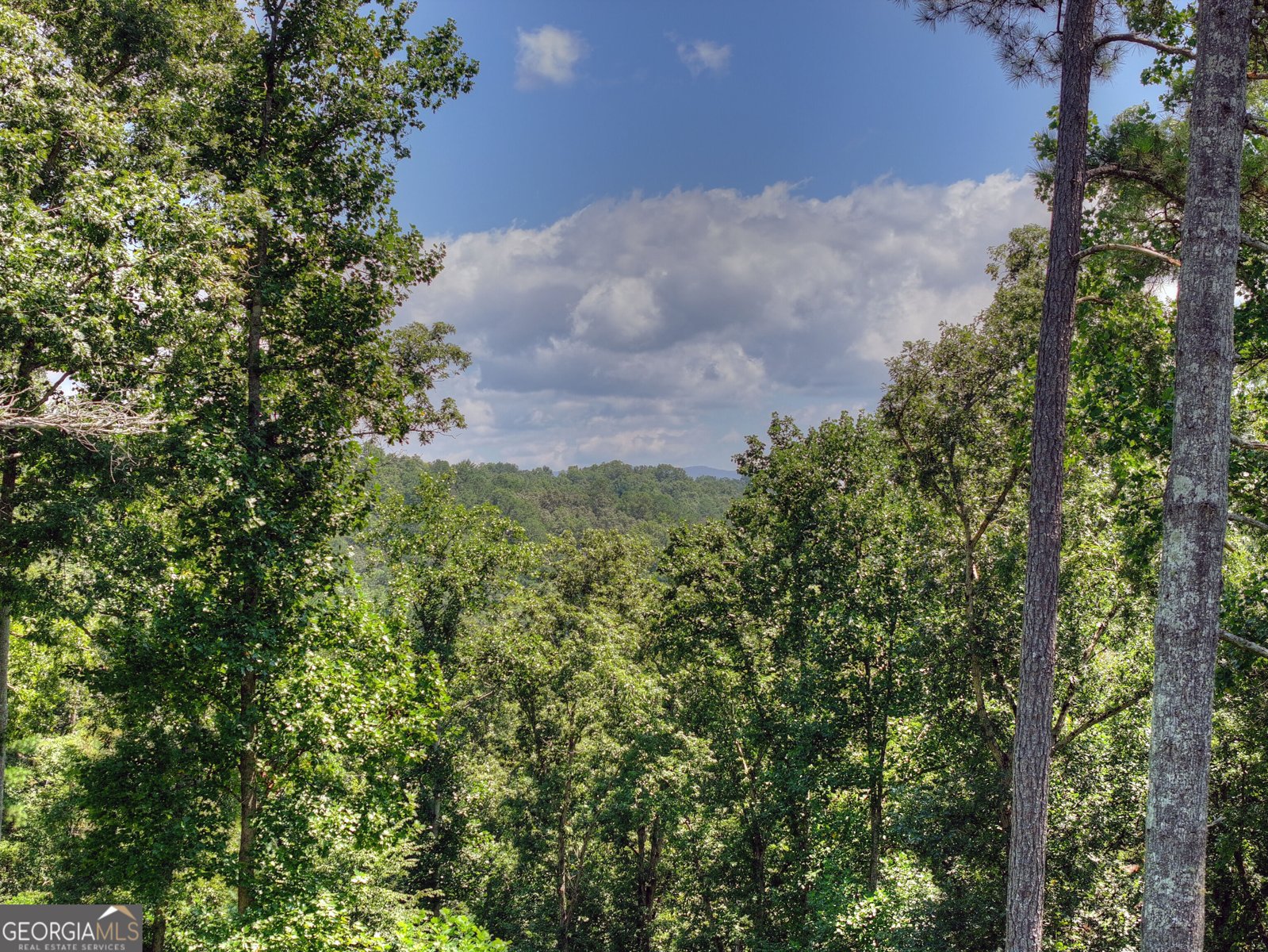 196 Jakes Landing Way Ellijay - Photo 38