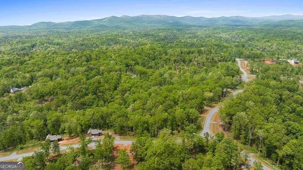 196 Jakes Landing Way Ellijay - Photo 66