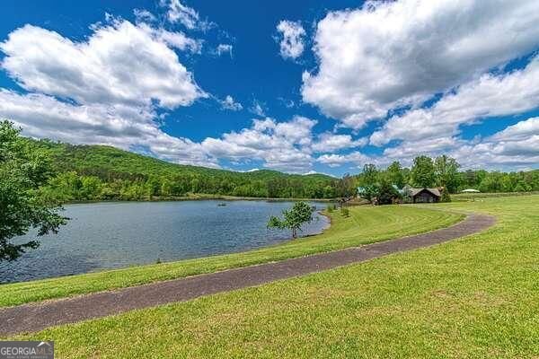 196 Jakes Landing Way Ellijay - Photo 71