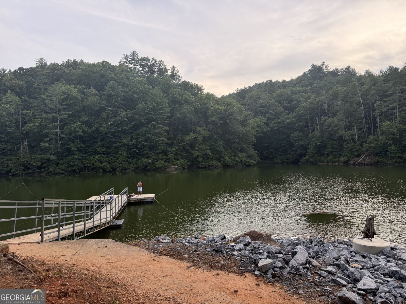 196 Jakes Landing Way Ellijay - Photo 74