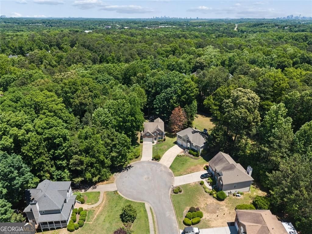 954 Wandering Vine Drive Mableton - Photo 45