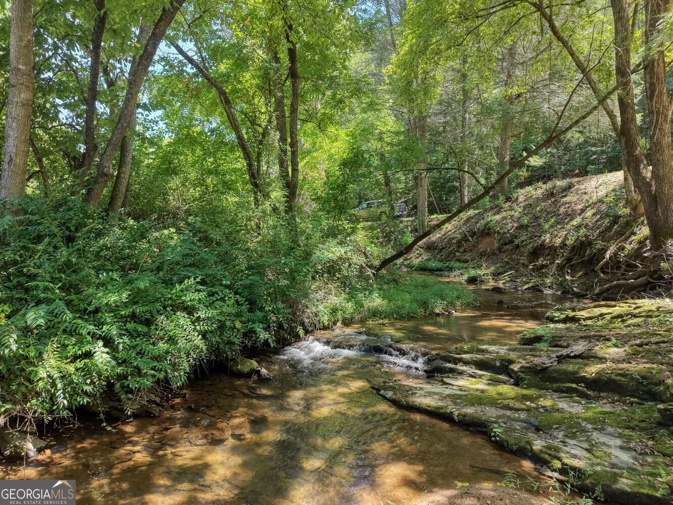 6564 Crooked Creek Road Young Harris - Photo 41