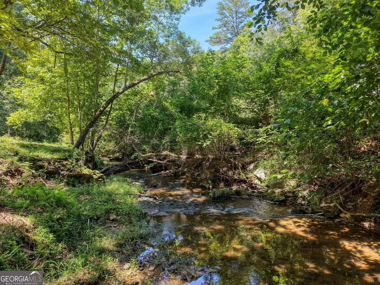 6564 Crooked Creek Road Young Harris - Photo 42