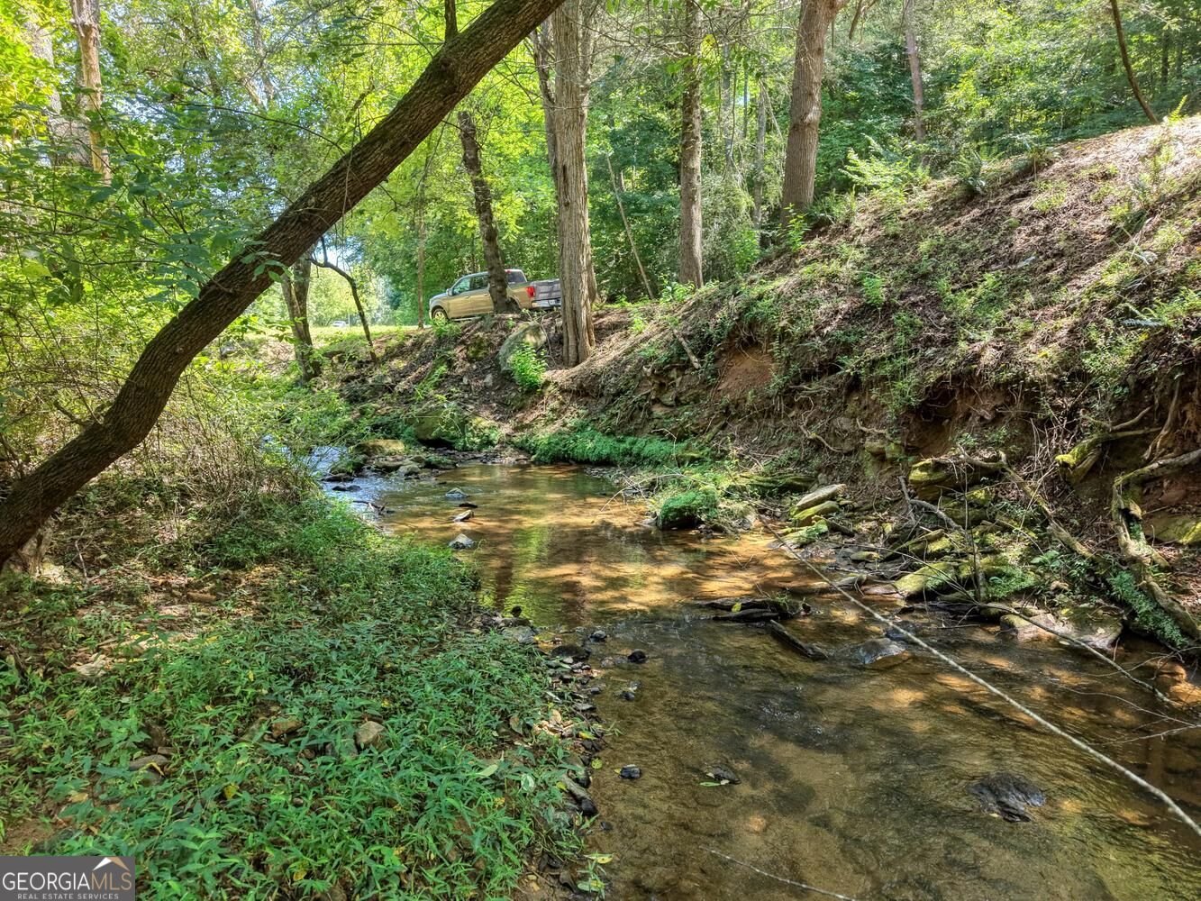 6564 Crooked Creek Road Young Harris - Photo 7