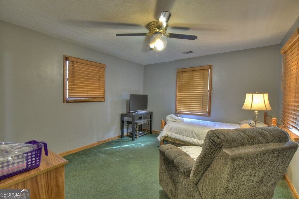 160 Moores Road Mineral Bluff - Photo 45