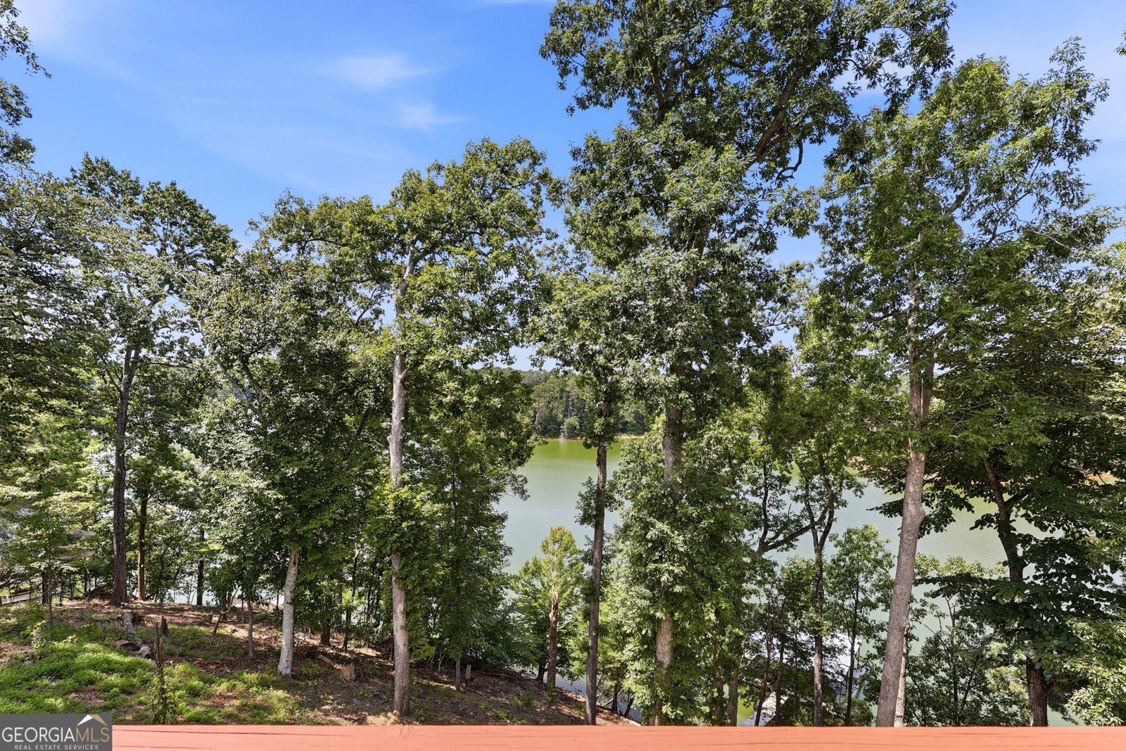3347 Cove Overlook Drive Gainesville - Photo 52