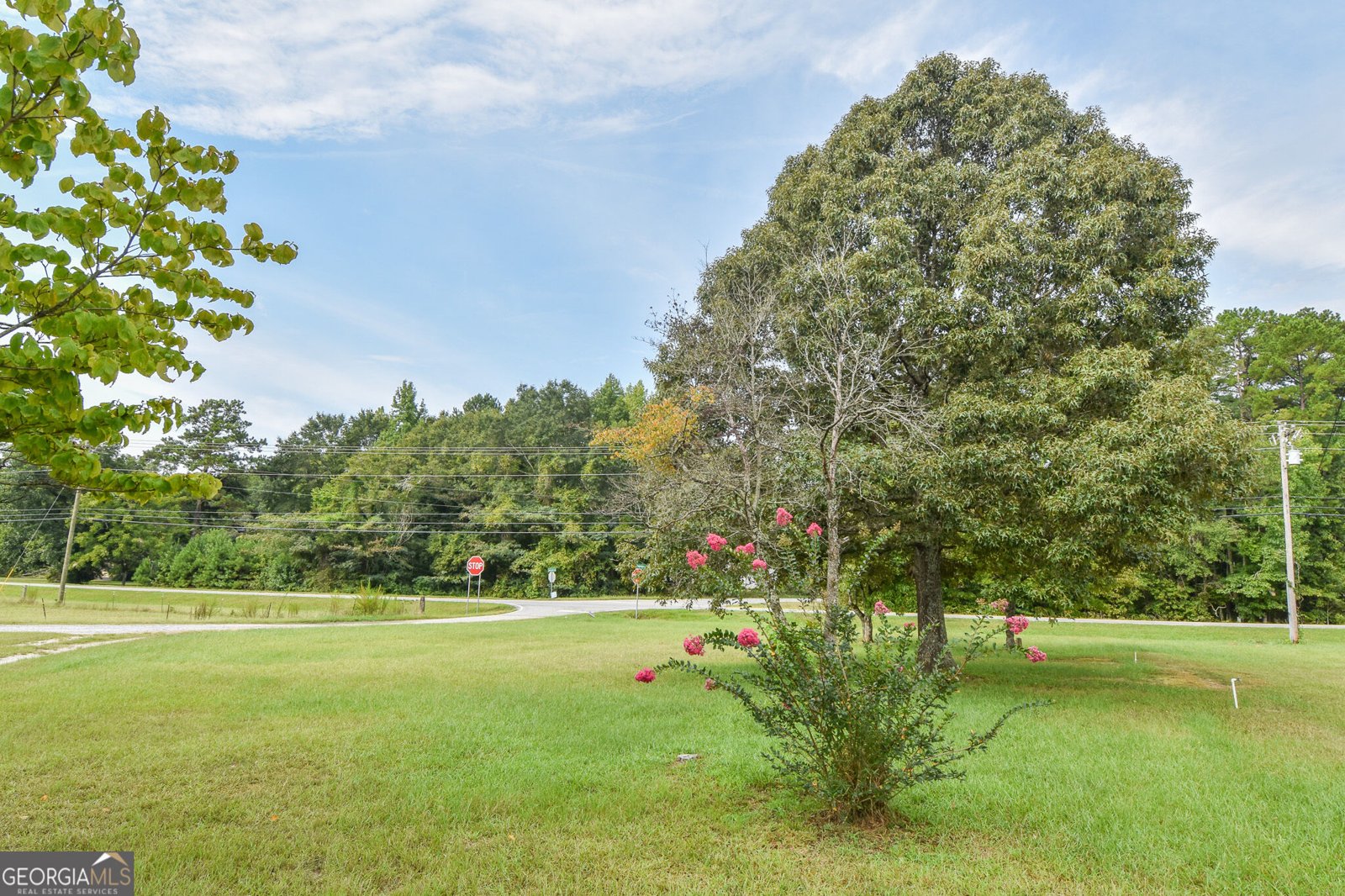 2590 Highway 92 Fayetteville - Photo 79
