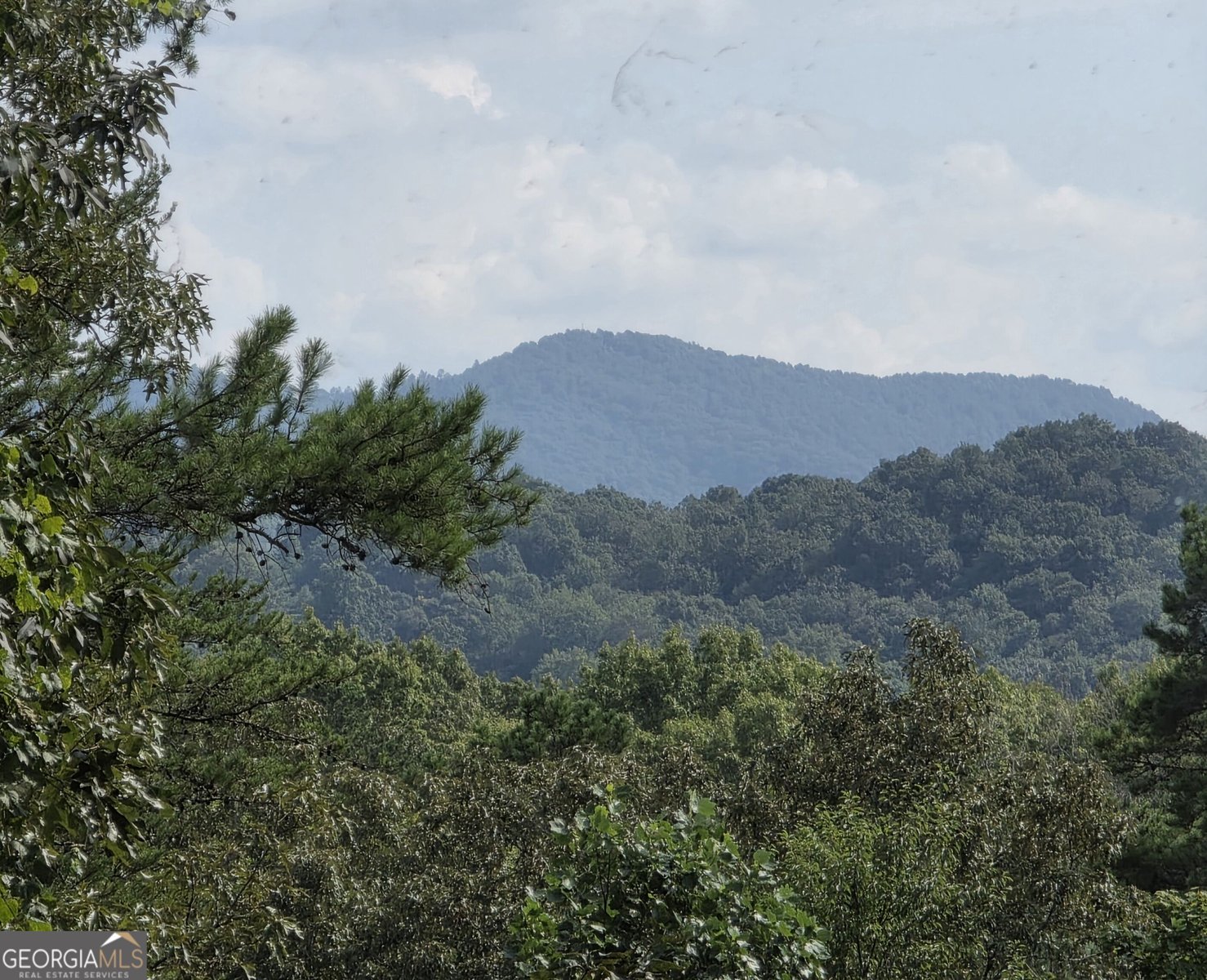 110 Bear Pause Road Morganton - Photo 32