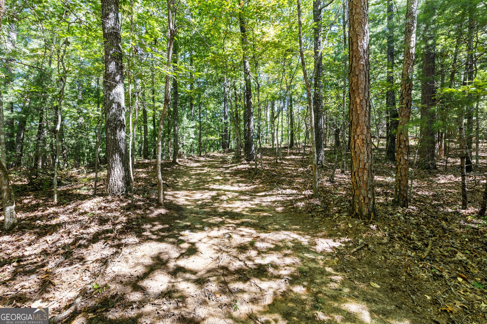 110 Bear Pause Road Morganton - Photo 45