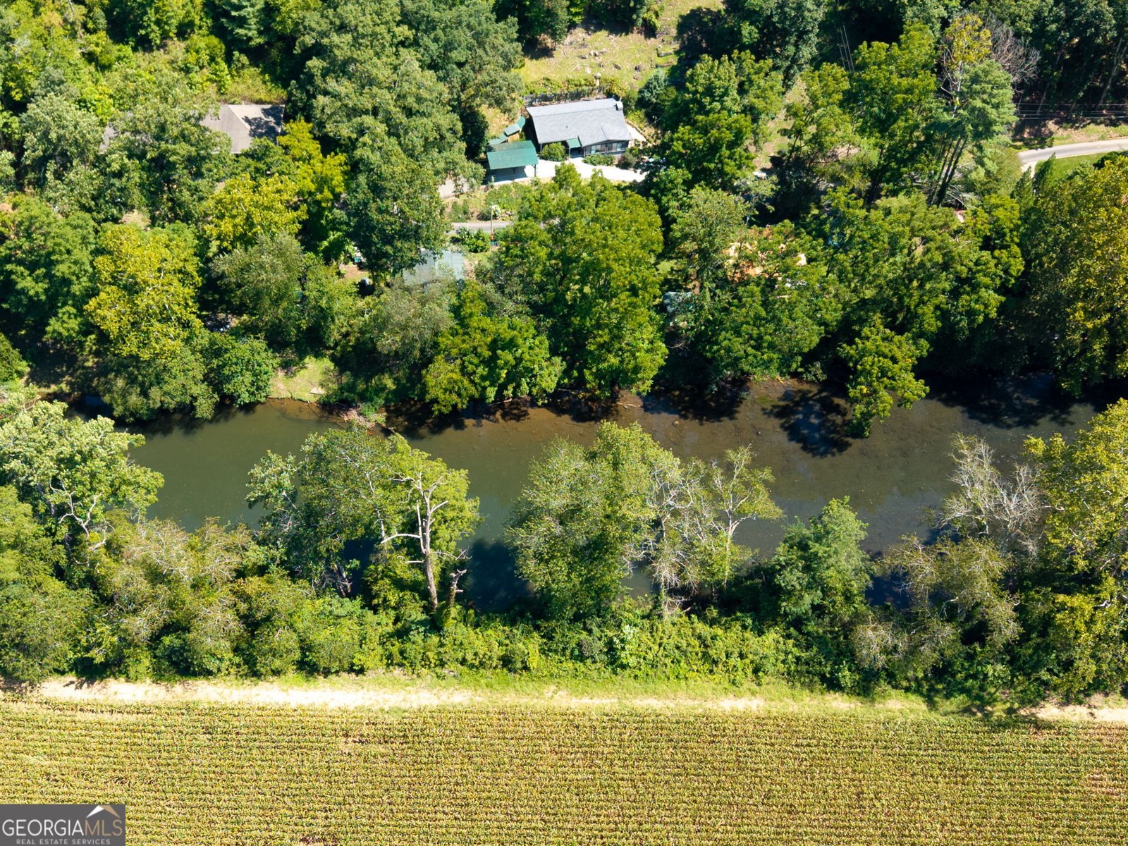 162 Hiawassee River Road Road Brasstown - Photo 51